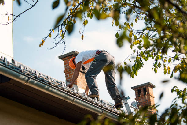 Best Roof Maintenance Services  in Bell, CA