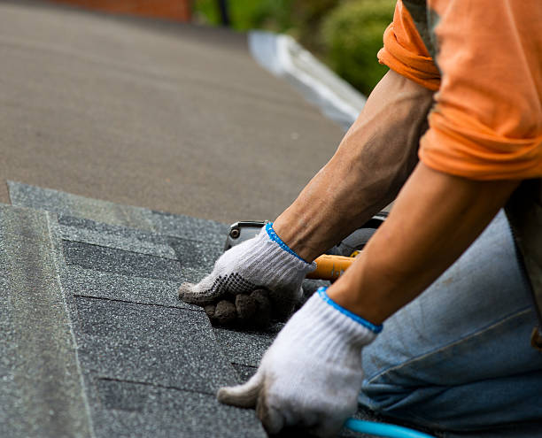 Best Flat Roof Repair Services  in Bell, CA